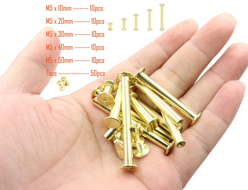 LBY 100pcs Phillips Chicago Screws, M5 x 10/20/30/40/50mm Binding Screw Posts, Book Screws, Binding Barrels and Screws Assortment Kit for Leather Saddles, Purses, Belt Repair, Copper-Plated - Image 3